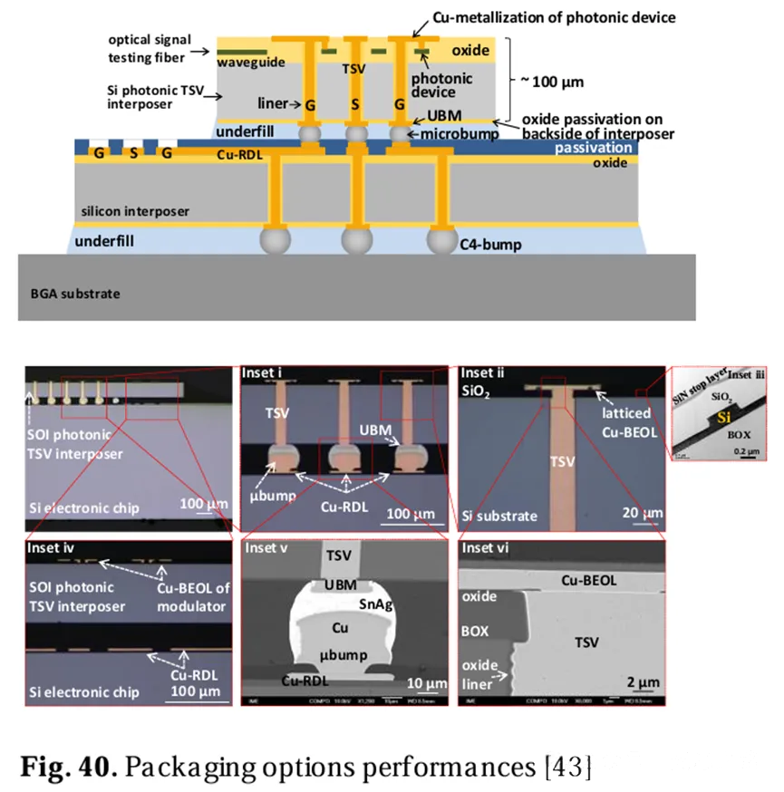 包裝選項性能圖