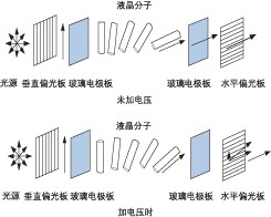 液晶 VOA 加電前后分子排列對比，展示偏振調控原理
