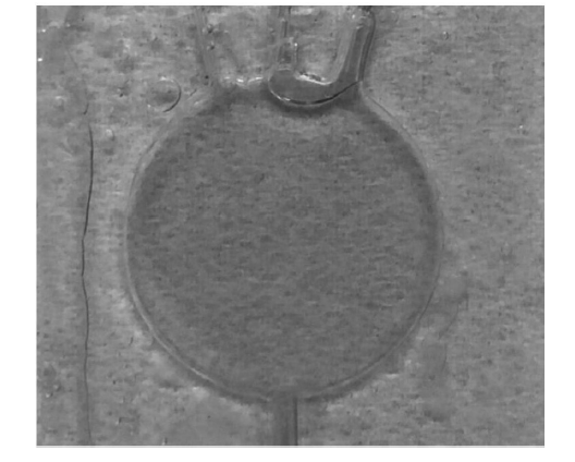 微流控光開(kāi)關(guān)在實(shí)際應用中的效果，包括不同流速下的遮光形態(tài)及透光/遮光對比  - 廣西科毅光通信